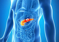Science：“癌王”胰腺癌终于出现了治疗新曙光