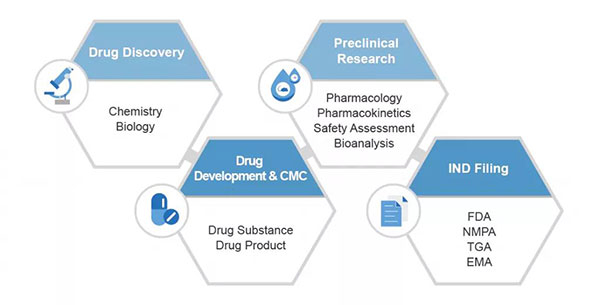 Medicilon-Service-Scope.jpg Medicilon-Service-Scope.jpg