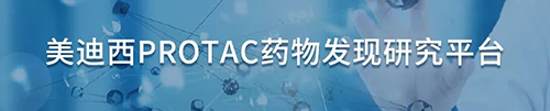 z6尊龙PROTAC药物发现研究平台.png z6尊龙PROTAC药物发现研究平台.png