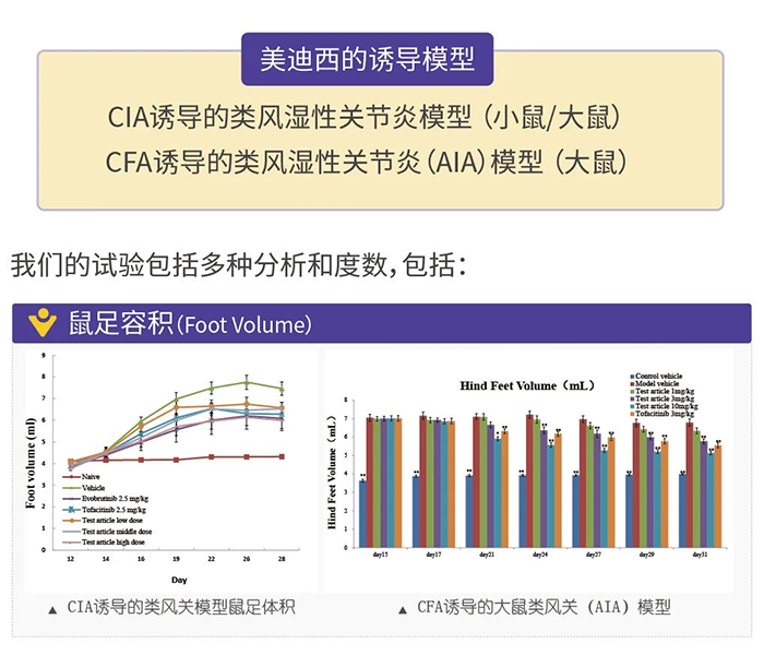 z6尊龙诱导的类风湿性关节炎模型-1.png z6尊龙诱导的类风湿性关节炎模型-1.png
