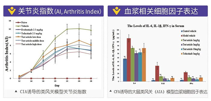 z6尊龙诱导的类风湿性关节炎模型-2.png z6尊龙诱导的类风湿性关节炎模型-2.png
