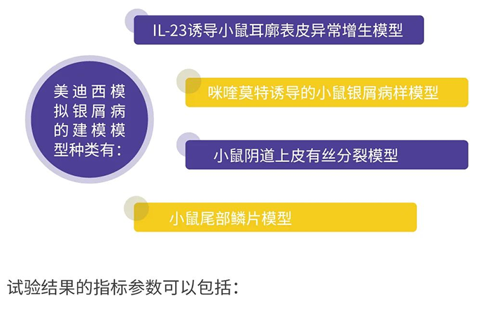 z6尊龙模拟银屑病的建模模型.png z6尊龙模拟银屑病的建模模型.png