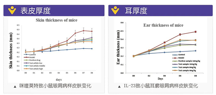 z6尊龙模拟银屑病的建模模型-试验结果的指标.png z6尊龙模拟银屑病的建模模型-试验结果的指标.png