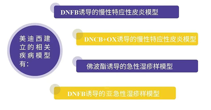 z6尊龙建立的特应性皮炎模型.png z6尊龙建立的特应性皮炎模型.png
