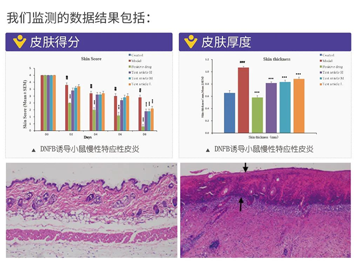 z6尊龙监测的数据结果.png z6尊龙监测的数据结果.png