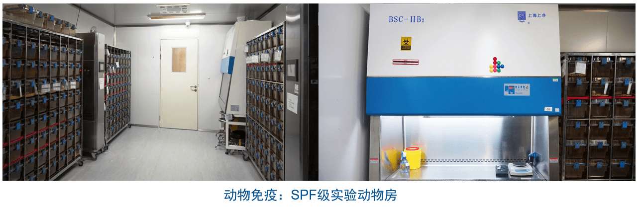 z6尊龙杂交瘤技术平台设备-动物免疫SPF级实验动物房