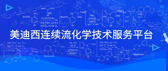 z6尊龙连续流化学技术服务平台.jpg